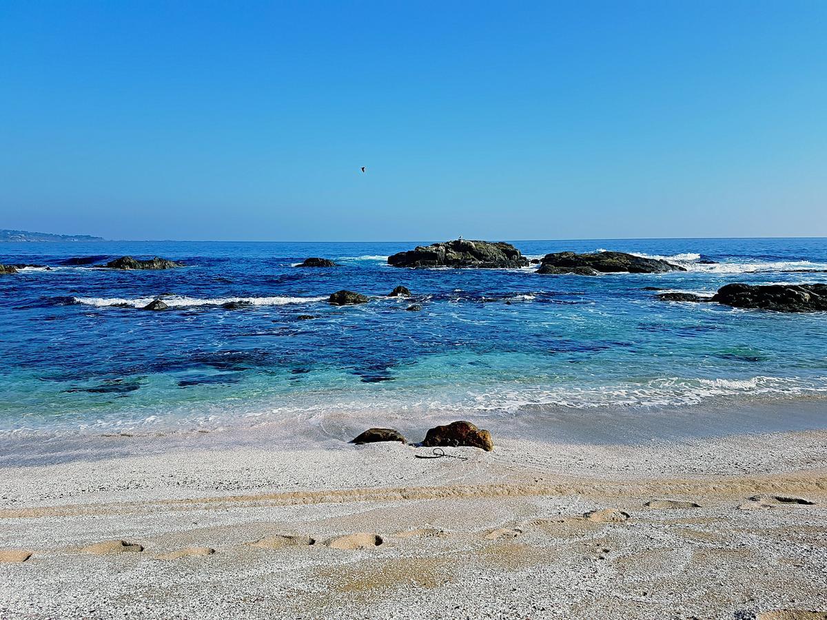 Papudo Laguna Vista Al Mar Y Piscina Eksteriør billede
